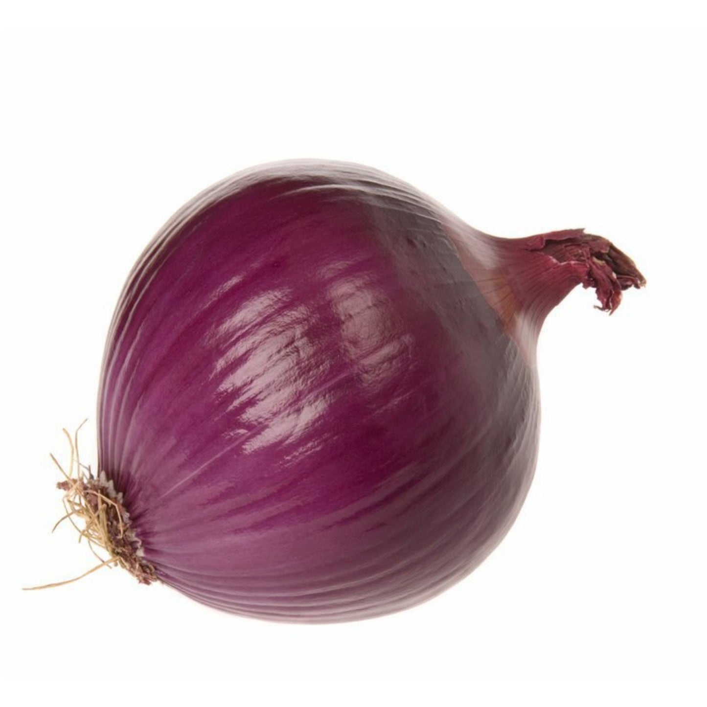 Front image of Red Onion