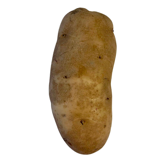 Front image of Russet Idaho Potato