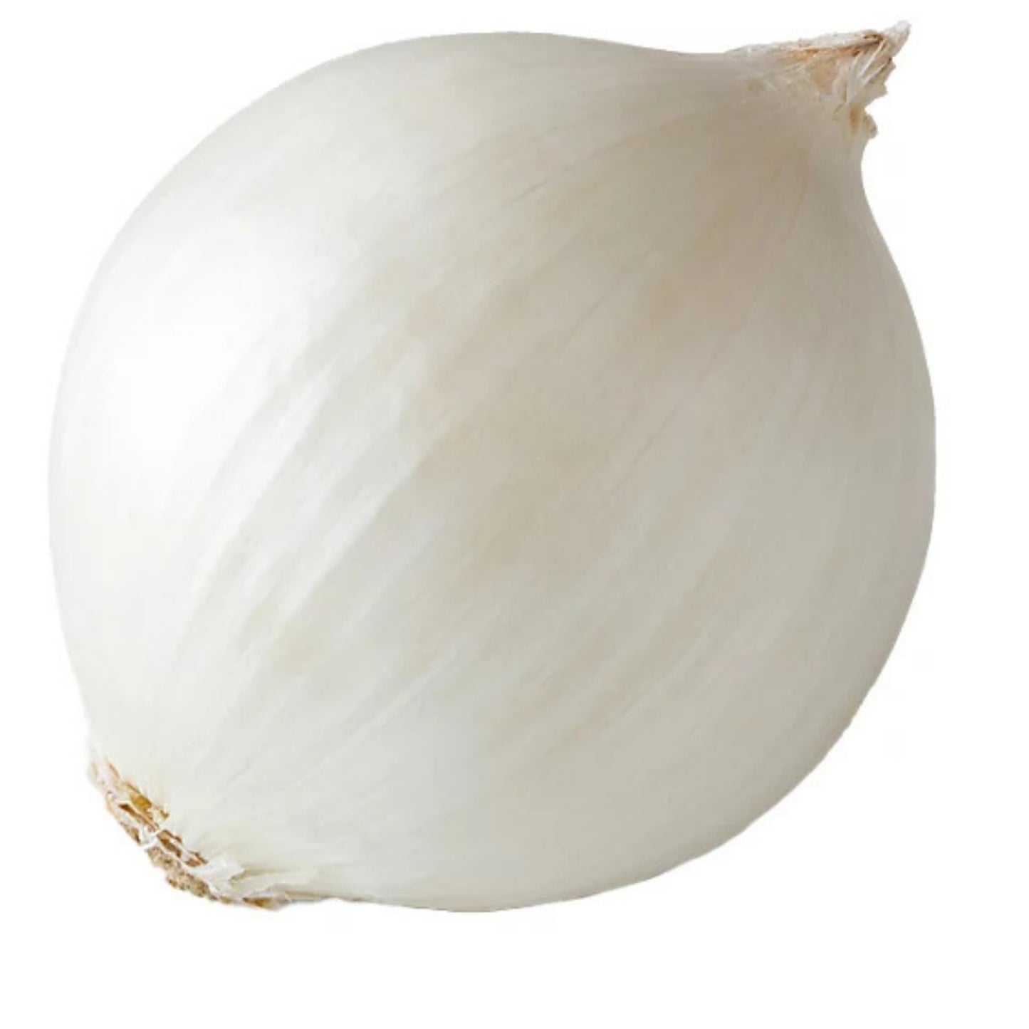 Front image of White Onion