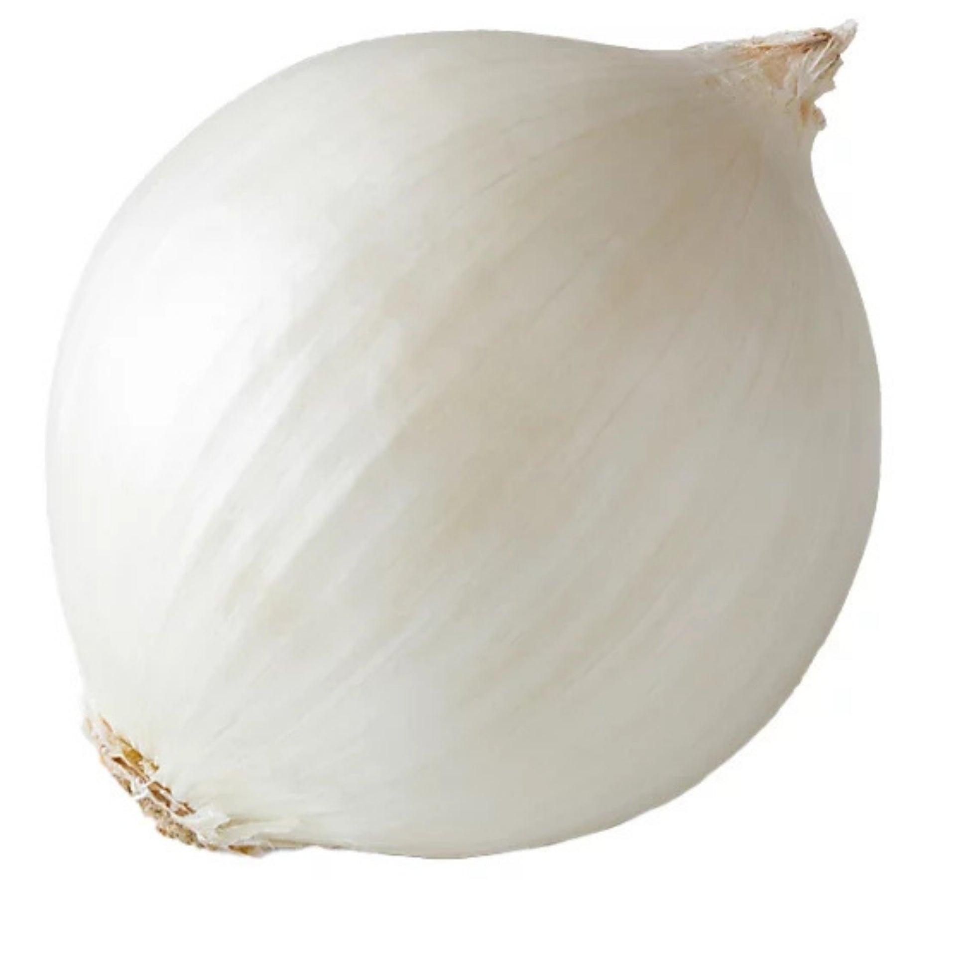 Front image of White Onion