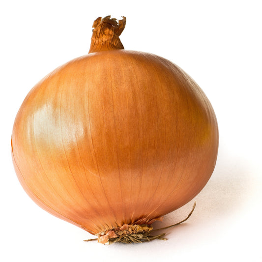 Front image of Yellow Onion